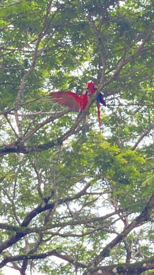 Las Plumas De Cabuya Cabuya  Zewnętrze zdjęcie